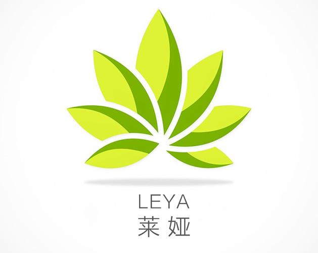 拓展互联网销售与信息技术咨询 双轮驱动下的业务创新与实践